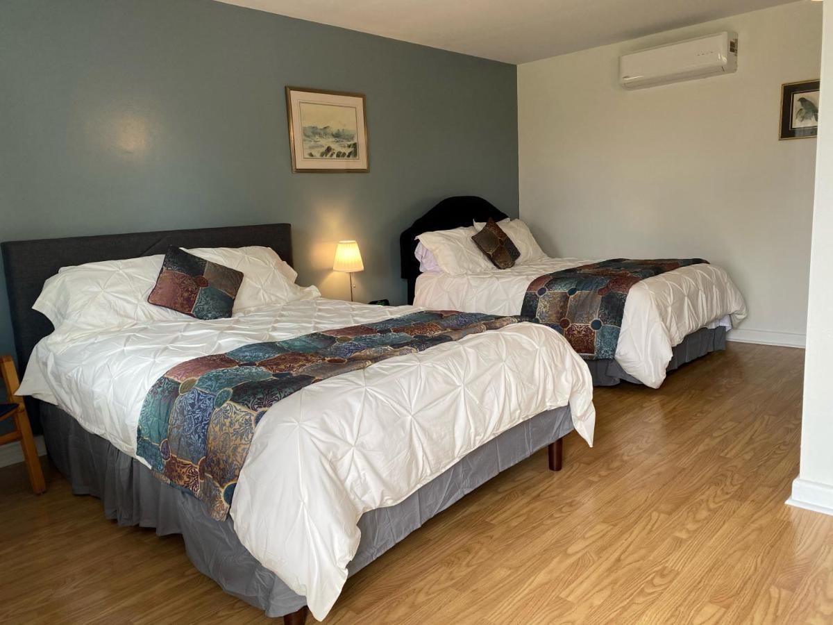 Webbers Lake Charlotte Motel Queen And Double Bed المظهر الخارجي الصورة