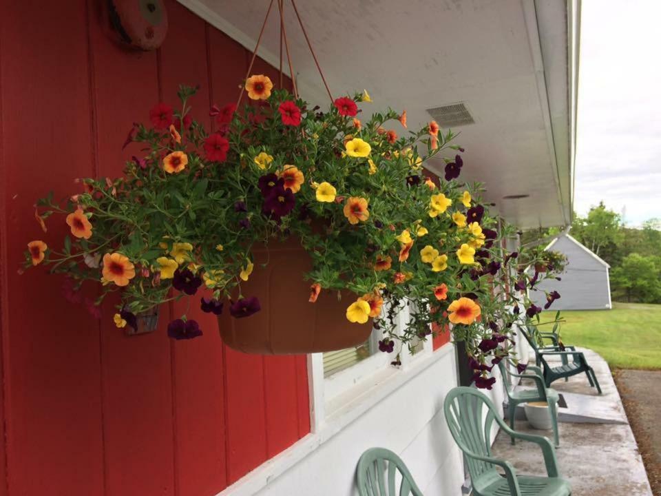 Webbers Lake Charlotte Motel Queen And Double Bed المظهر الخارجي الصورة